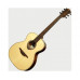 Акустическая гитара LAG GLA T88A