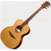 Акустическая гитара LAG GLA T170A